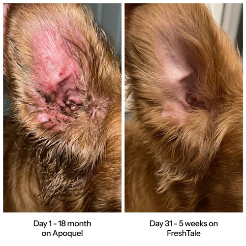 Yeast infection drops