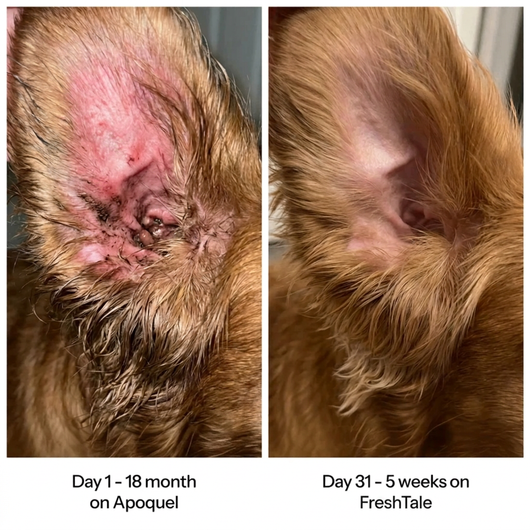 Yeast infection drops